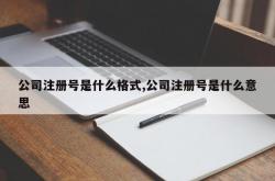 公司注册号是什么格式,公司注册号是什么意思